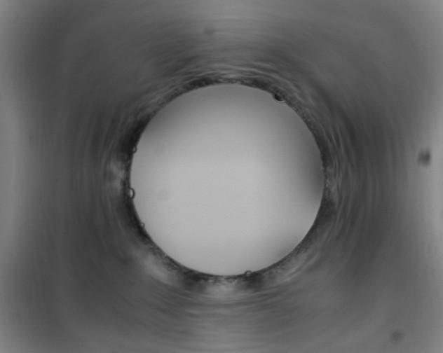 X0000101710235200807101415