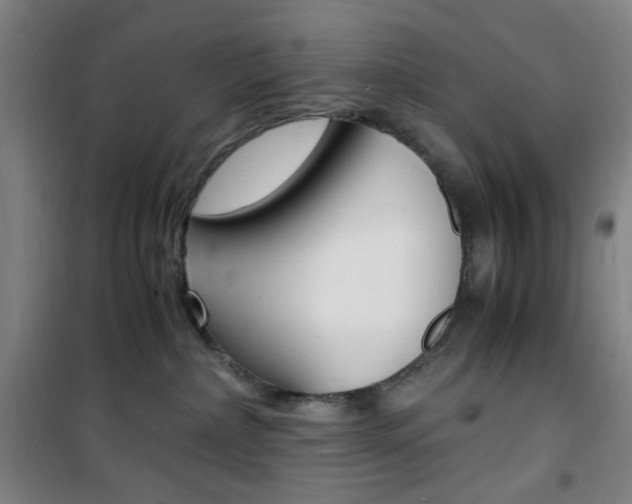 X0000101710236200807101415