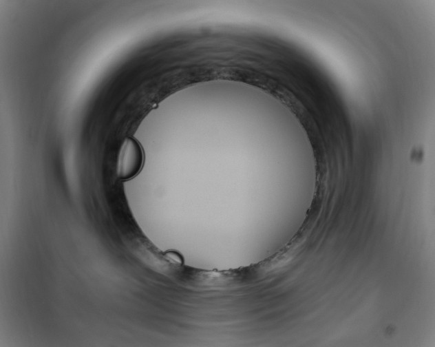 X0000101710239200807101415