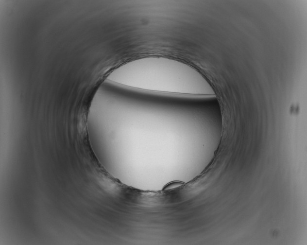 X0000101710240200807101415