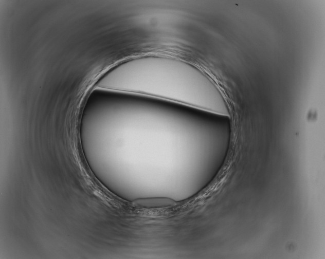 X0000101710241200807101415