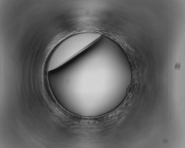 X0000101710242200807101415