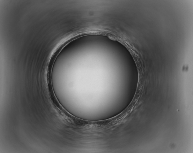 X0000101710244200807101415