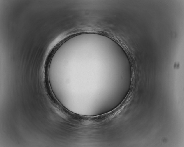 X0000101710246200807101415