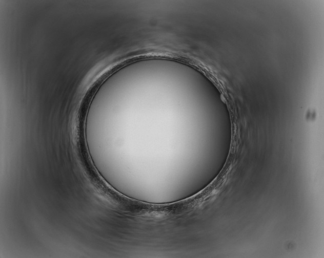 X0000101710247200807101415