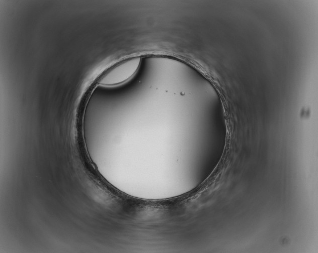 X0000101710248200807101415