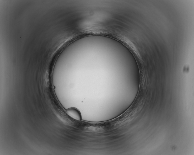 X0000101710251200807101415