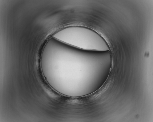 X0000101710253200807101415