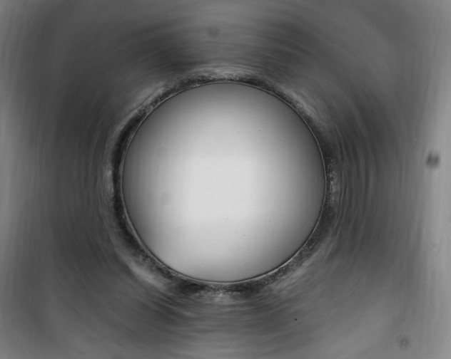 X0000101710254200807101415