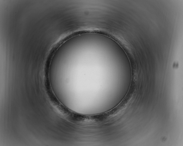 X0000101710256200807101415