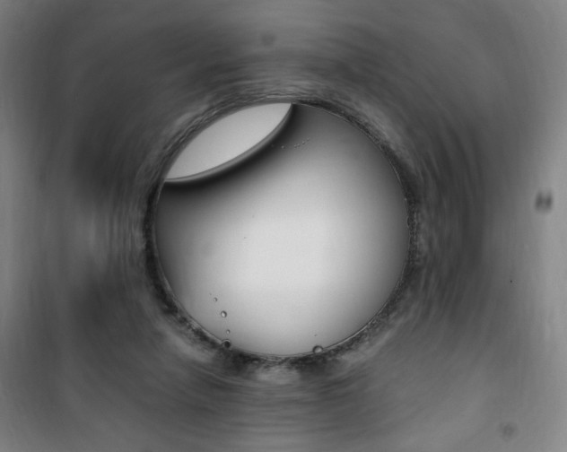 X0000101710258200807101415
