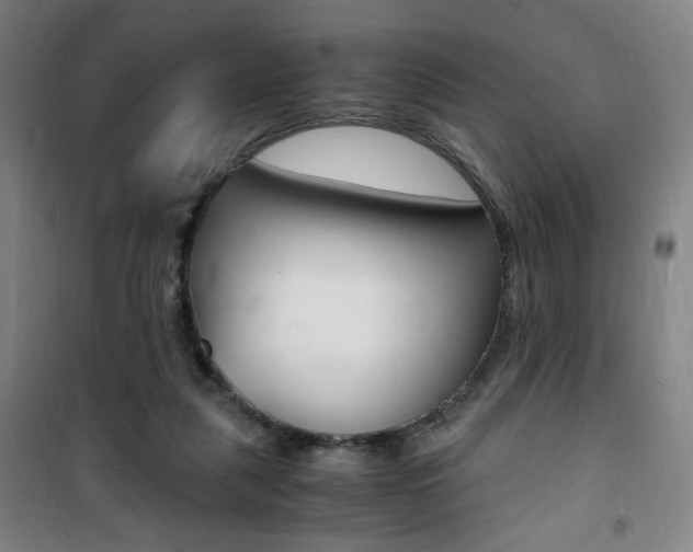 X0000101710259200807101415