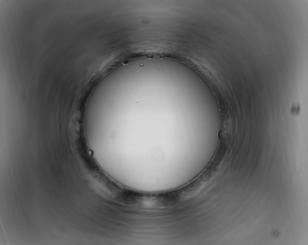 X0000101710264200807101415