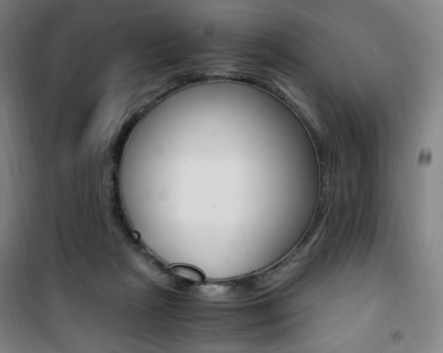 X0000101710265200807101415