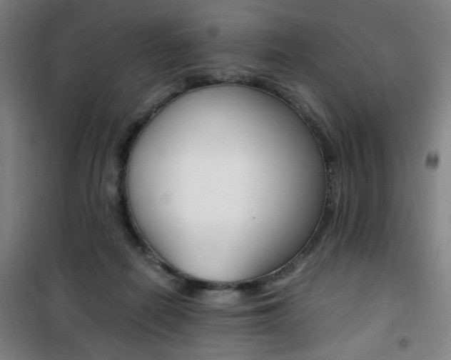 X0000101710266200807101415