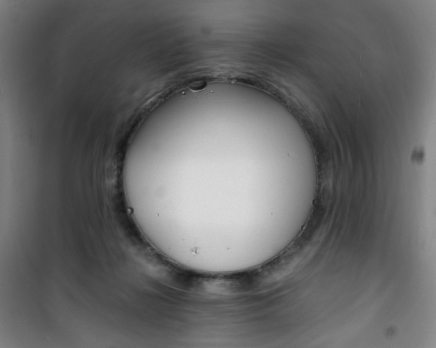 X0000101710268200807101415