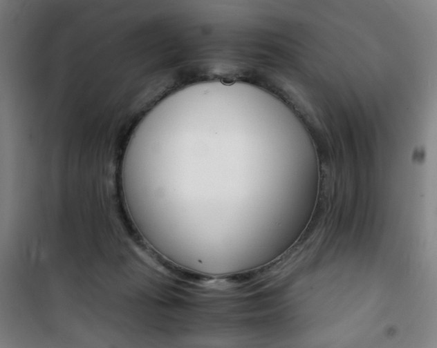 X0000101710269200807101415