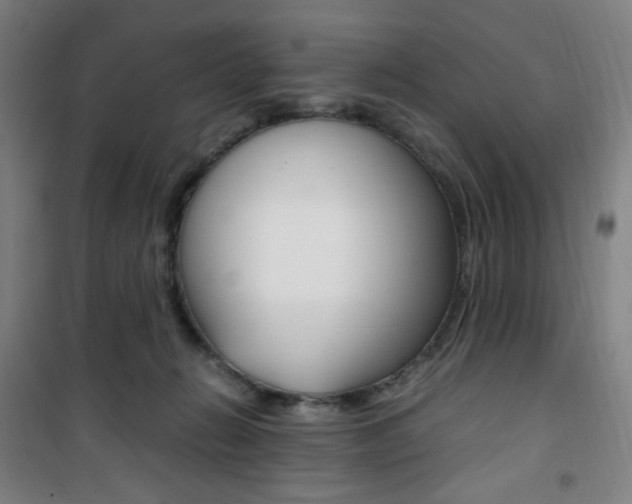 X0000101710270200807101415