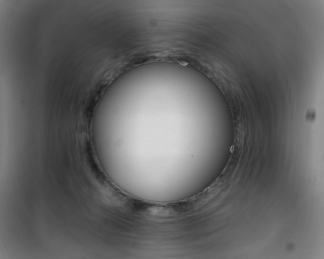 X0000101710272200807101415