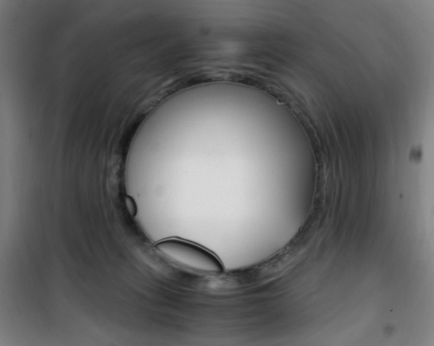 X0000101710275200807101415