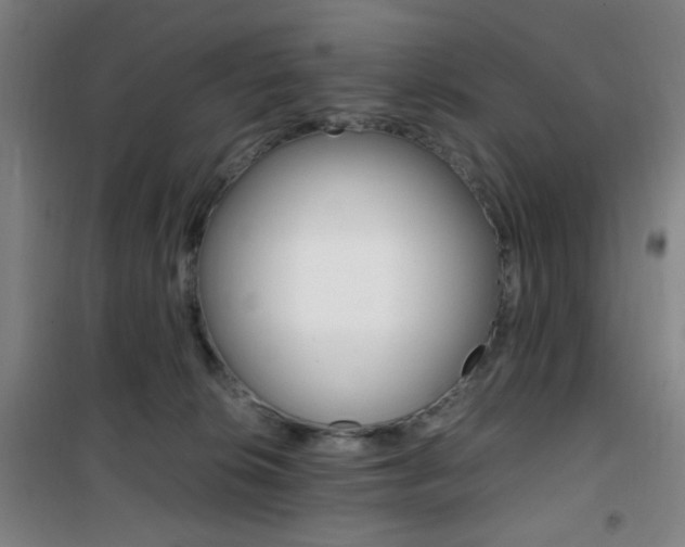 X0000101710276200807101415