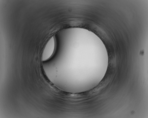 X0000101710277200807101415
