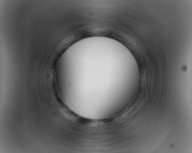 X0000101710278200807101415