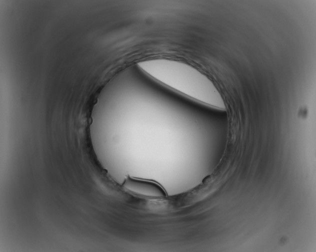 X0000101710279200807101415