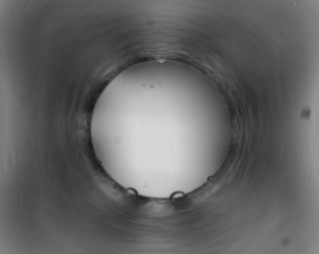 X0000101710280200807101415