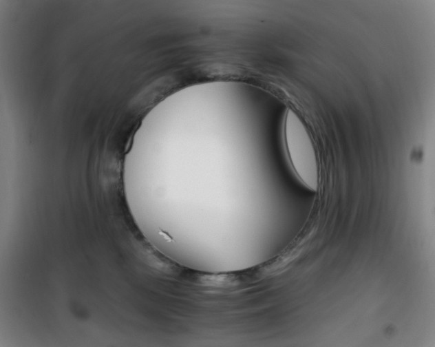 X0000101710281200807101415