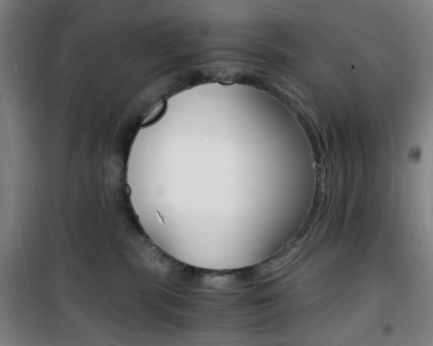 X0000101710283200807101415