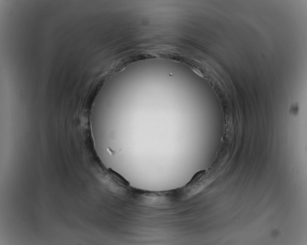 X0000101710284200807101415