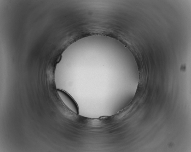 X0000101710287200807101415