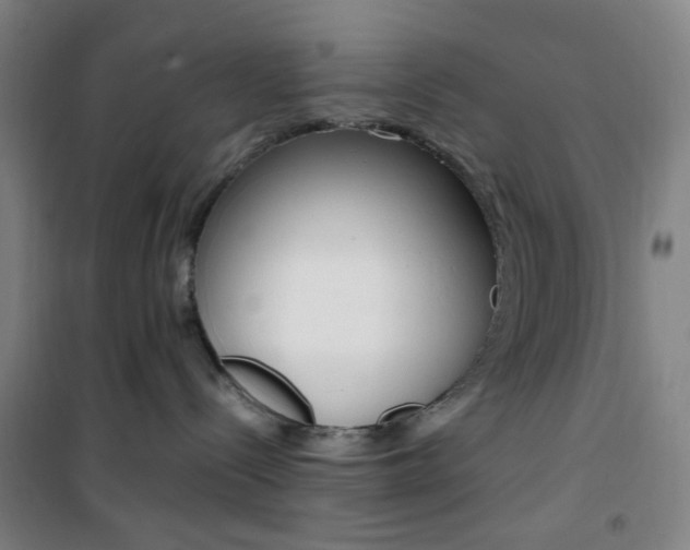 X0000101710288200807101415