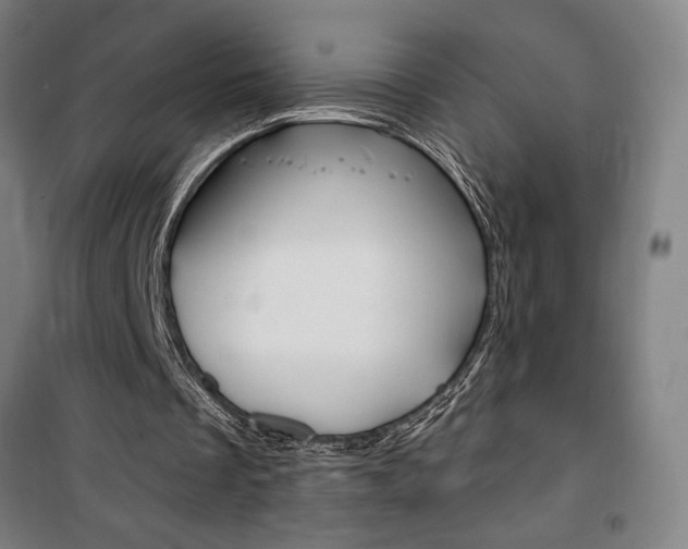 X0000101710289200807101415