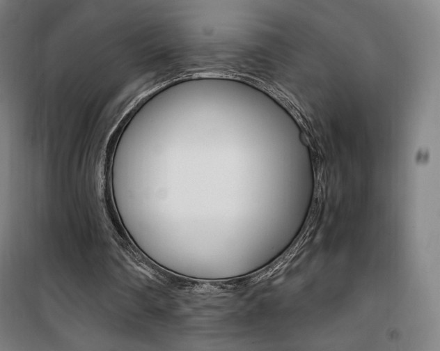 X0000101710290200807101415