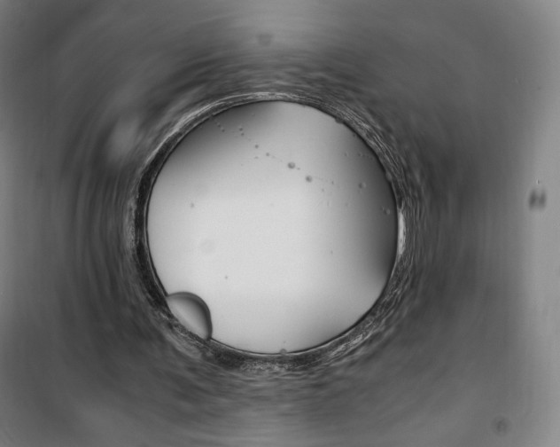 X0000101710291200807101415