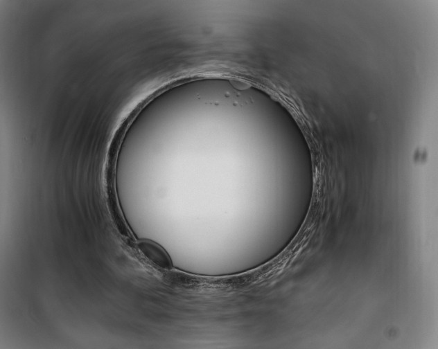 X0000101710292200807101415