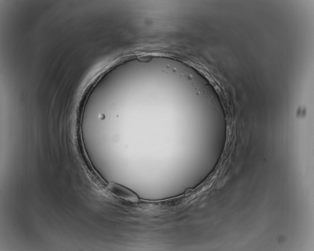 X0000101710293200807101415