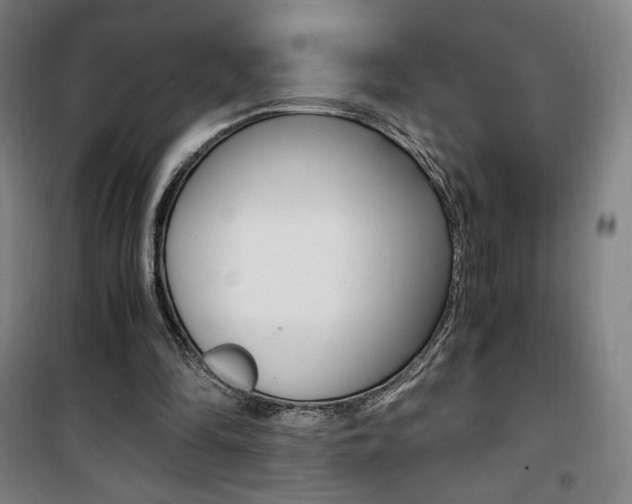 X0000101710294200807101415