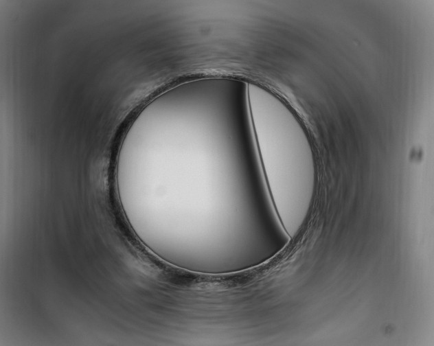 X0000101710299200807101414