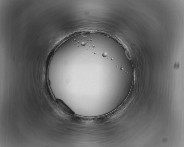 X0000101710301200807101414