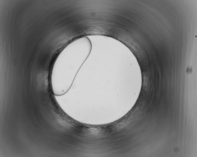 X0000101710302200807101414