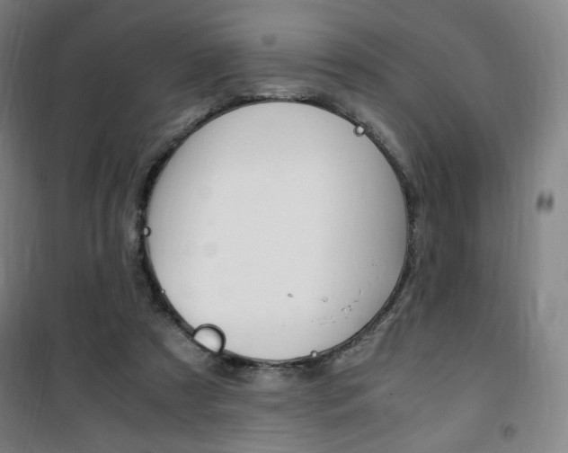 X0000101710305200807101414
