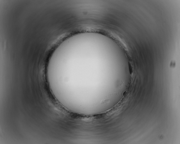 X0000101710306200807101414