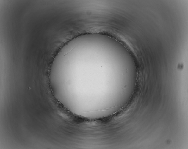 X0000101710307200807101414