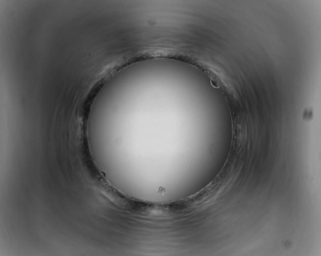 X0000101710308200807101414