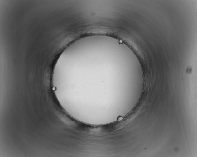 X0000101710309200807101414