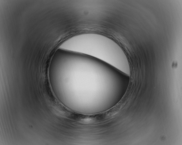 X0000101710312200807101414