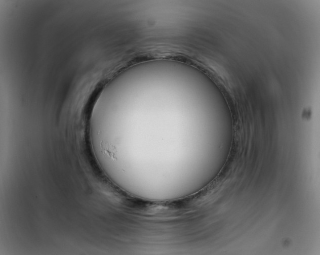 X0000101710315200807101414